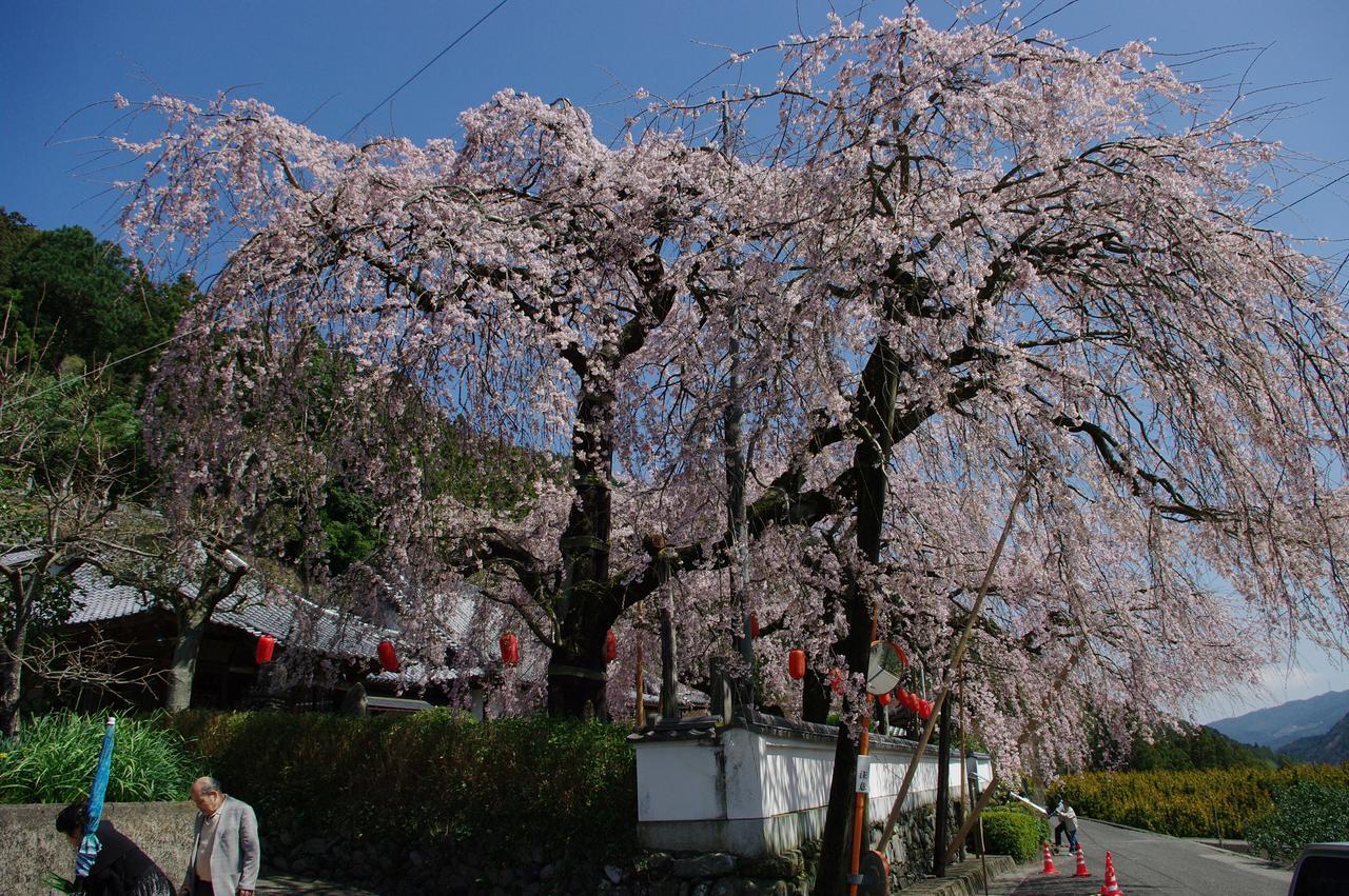 טוקושימה Kamiyama Onsen Hotel Shikinosato & Iyashinoyu מראה חיצוני תמונה